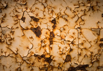 texture of grunge background iron rusty artistic wall
