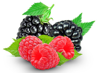 blackberry and raspberry isolated on a white background