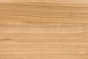 Fototapeta premium background of Walnut wood surface