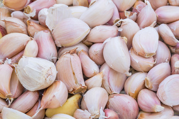 Fresh Garlic background