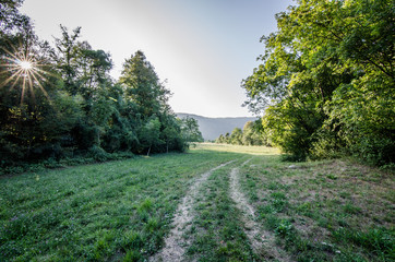 Fields