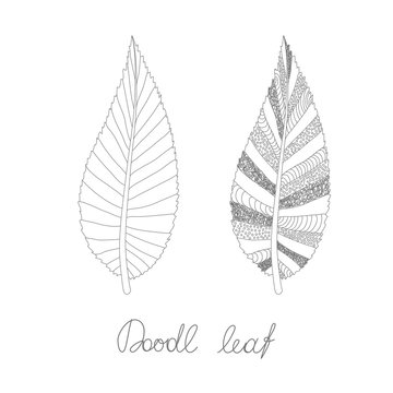 Doodles leaves