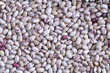 Close-up of kidney beans