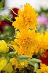 handmade  beautiful bouquets from flowers and herbs