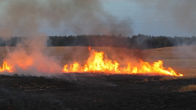 field burning. fire on sloping field