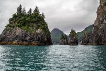 Naklejka premium Foggy Day, Kenai Fjords National Park, Alaska, USA