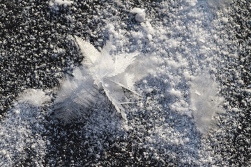 snow texture/snow texture