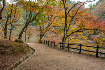 Fototapeta na wymiar Beautiful autumn at Korankei