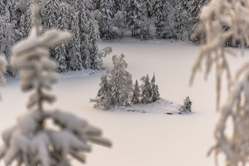 Islet in the middle of the frozen lake