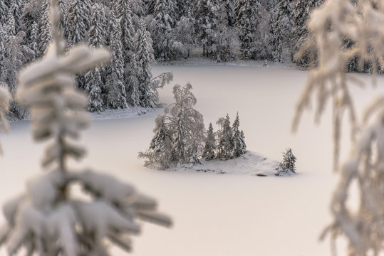 Islet in the middle of the frozen lake