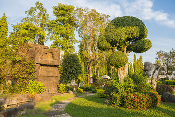 Fototapeta na wymiar beautiful trees & Big Stone, rock in the public park, garden - Evening time