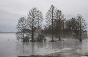 Fog and ice at Stumpy Lake in Virginia Beach, Virginia.