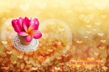 pink coloHeart bokeh and pink flower valentine backgroundur soft