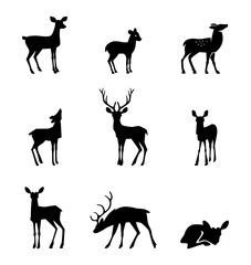 silhouette deer on white background 