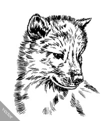 black and white engrave isolated wolf