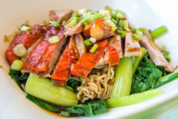 Duck noodle