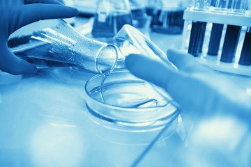 Researcher is dropping the reagent into test tube for reaction testing in chemical laboratory.