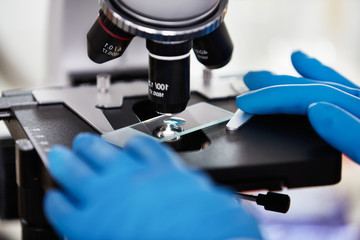 close-up of scientist hands with microscope, examining samples and liquid.