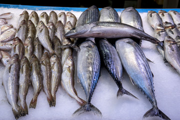 &eacute;tal de poisson sur un march&eacute;