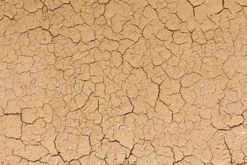 Cracked clay ground into the dry season.