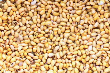 Soybean background.