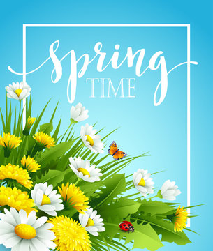 Fototapeta Fresh spring background with grass, dandelions and daisies. Vector illustration