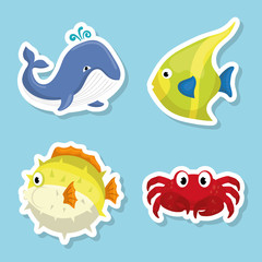 Sea fauna cartoon