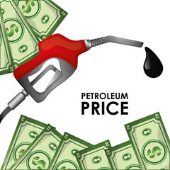 Petroleum industry and prices 