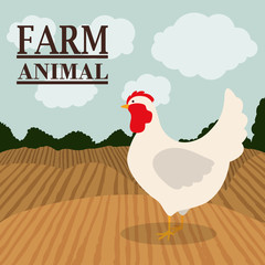 farm animal design 