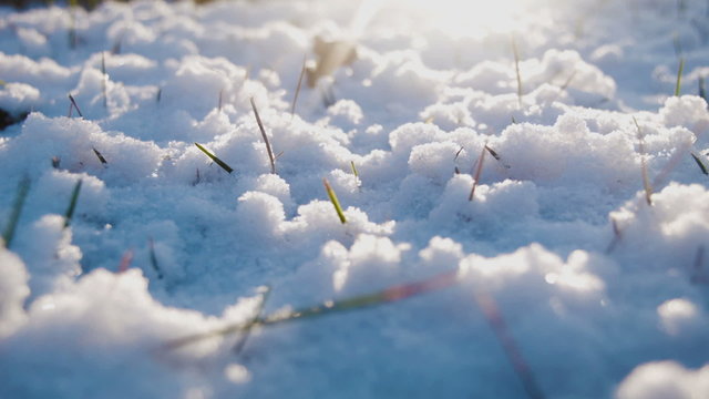 Sunlight on the snow on the lawn