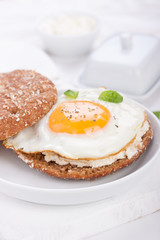 Bun with egg, cottage cheese and fresh basil on a white plate for breakfast. closeup.