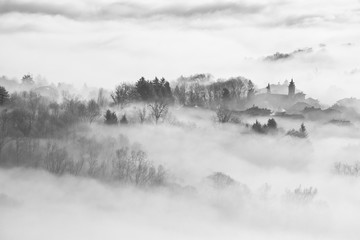 paesaggio immerso nella nebbia