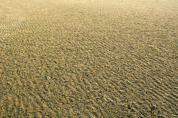 Sand texture. Sandy beach for background