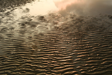 Sand texture. Sandy beach for background