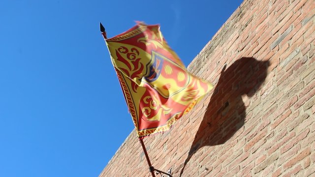 bandiera che sventola