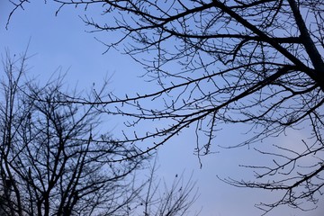 겨울 하늘