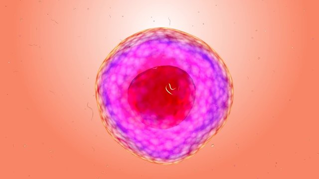 Animated human micro cell , medical, science, biology background