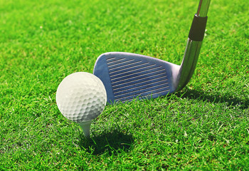 Golf club and ball on a green grass
