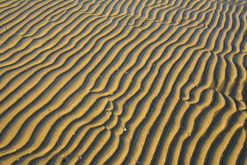 Ripelmarken im Nordseewatt