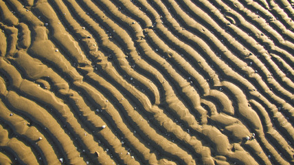 Ripelmarken im Nordseewatt