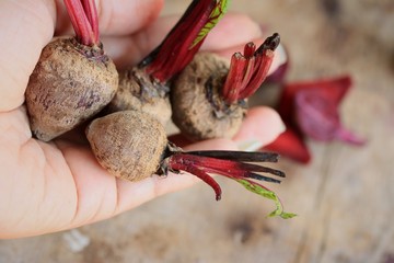 fresh beetroot small size