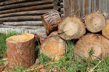 A bunch of the pine chumps for firewood stacked at the old barn