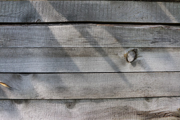 Very old mossy and weathered pine boards of an abandoned rural barn