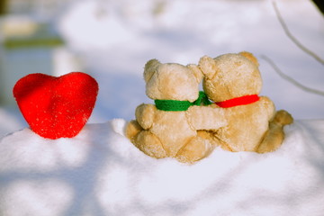 two teddy bears in a winter day