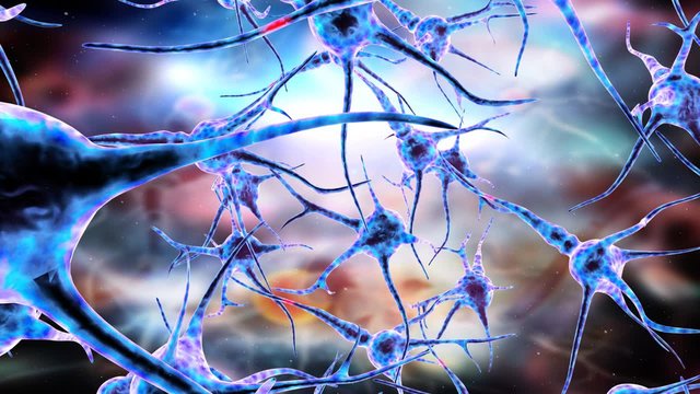 Nerve cells animation, concept for neurodegenerative and neurological disease, tumors, brain surgery. 