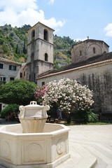 kotor