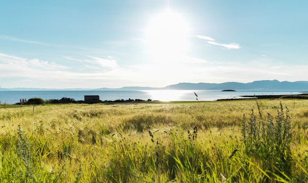 Fields in Frosta, Norway