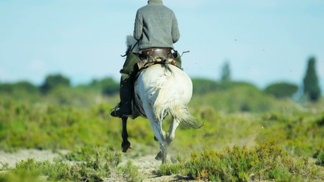 Cowboy France Camargue rider horse wetland freedom travel