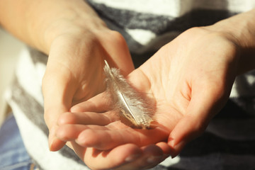 Hands holding a feather, close-up
