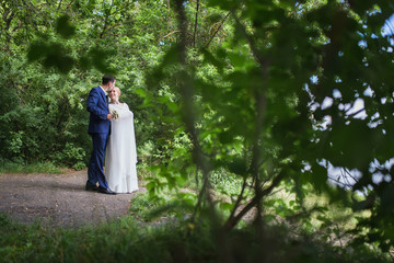 A happy young newly married couple walking in the park. Beautiful bride and groom kissing in the woods.